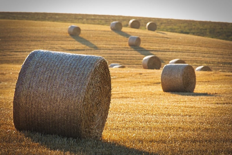 Year-Round Harvests